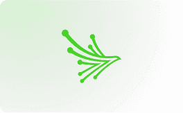 Image or Graphic.png