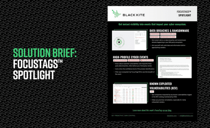 Black Kite FocusTags™ Spotlight