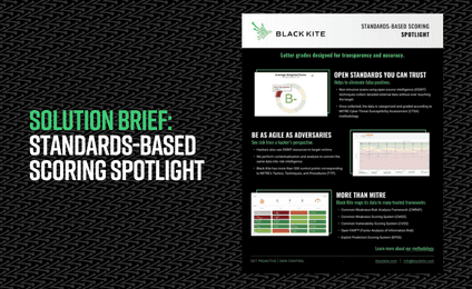Black Kite Standards-Based Scoring Spotlight