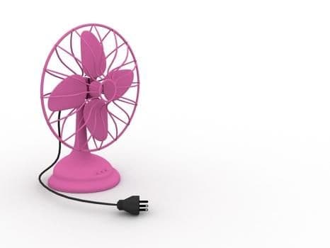 fan
