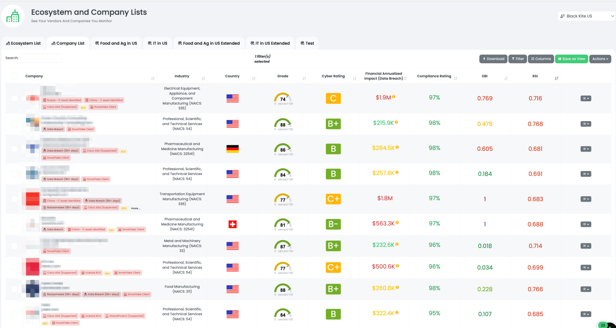 Company List View on Black Kite Platform filtered by Snowflake Client Tag