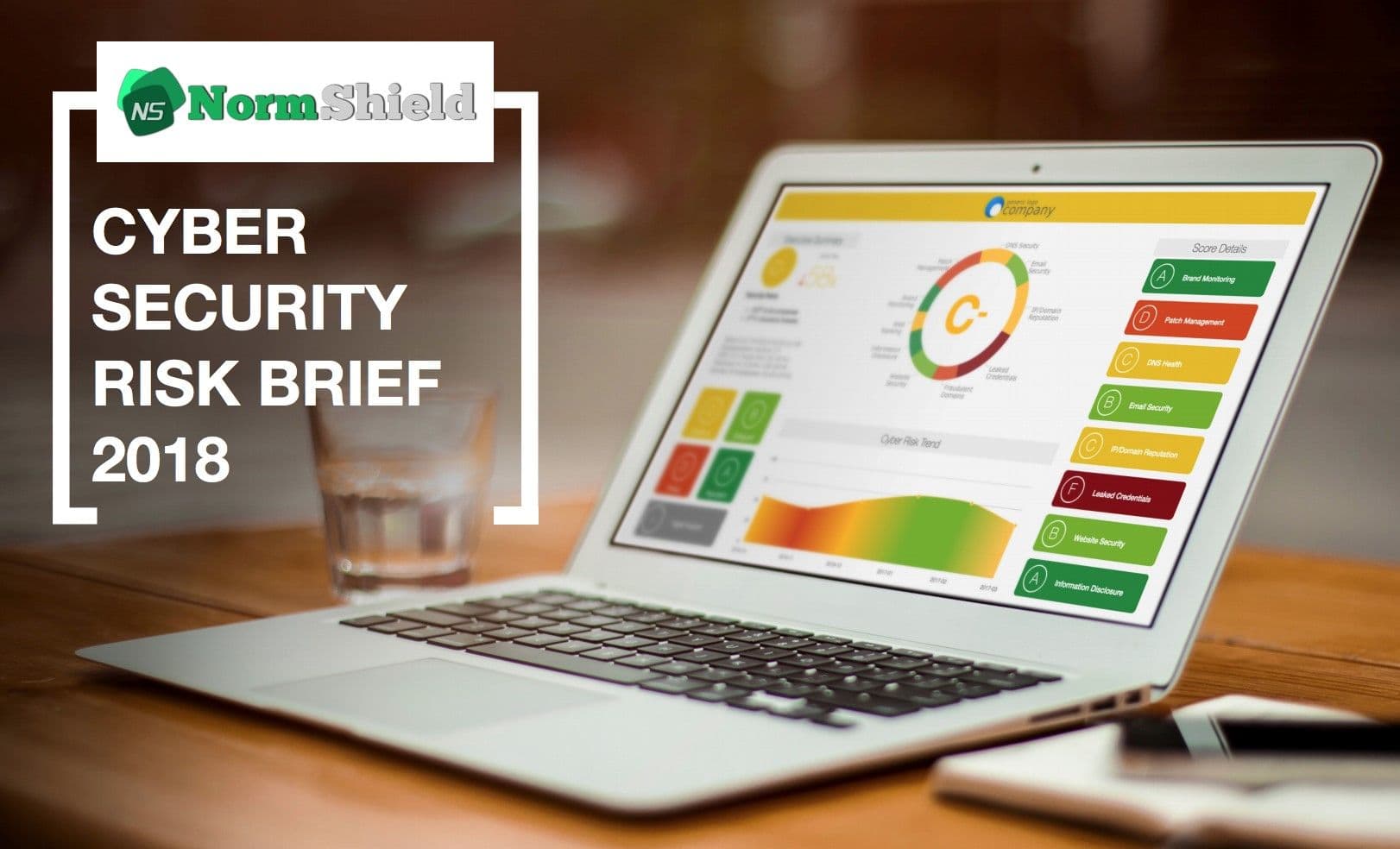 normshield_cyber_security_risk_brief_