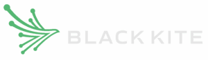 Black-Kite-Logo-Horizontal-for-Dark-BG-copy-300x87.png