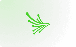 Image or Graphic.png