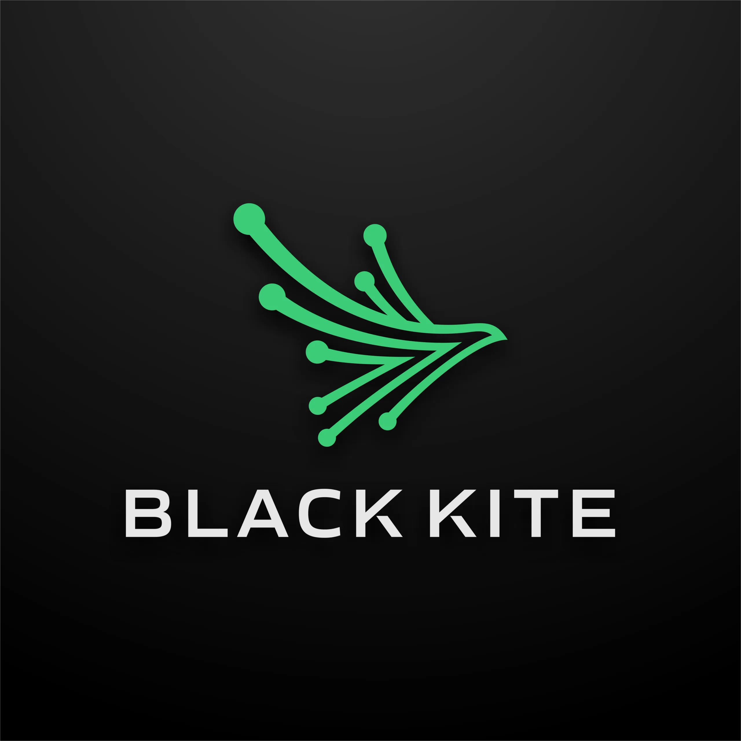 Black-Kite-Logo-Profile-Picture