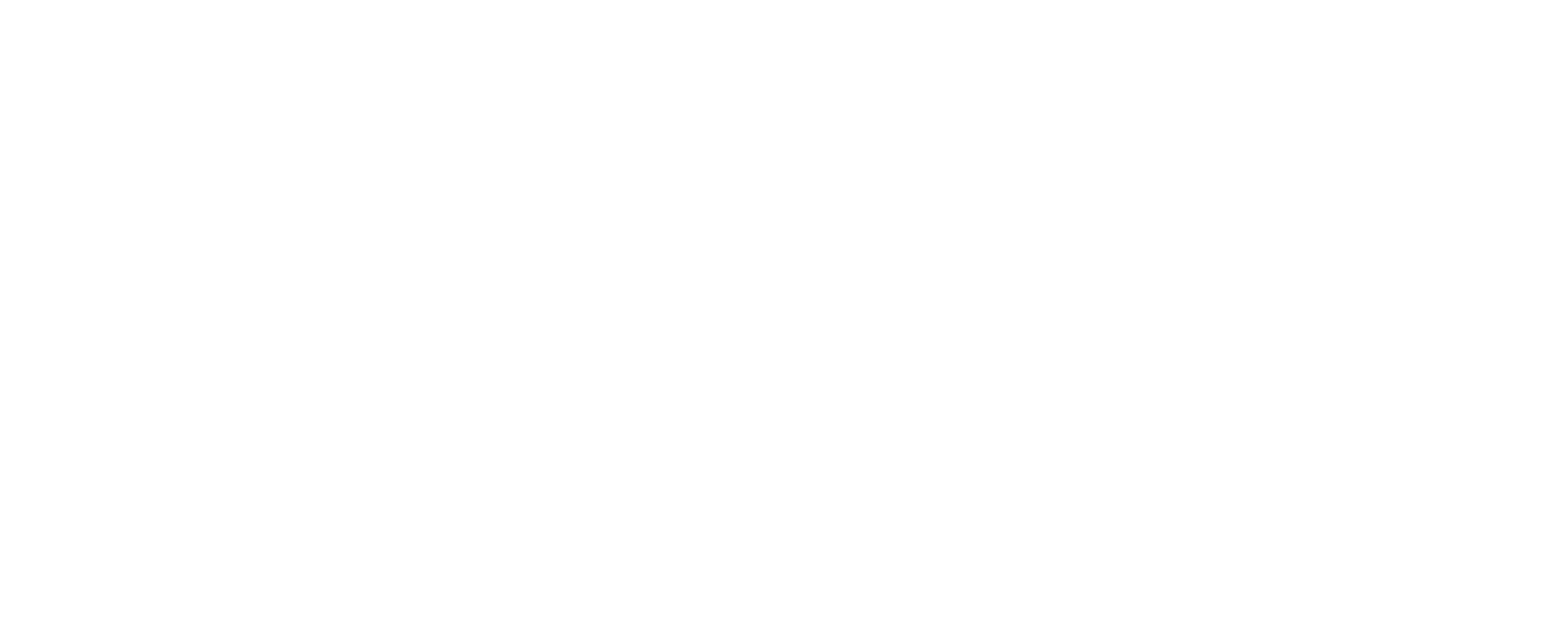 Optro Logo