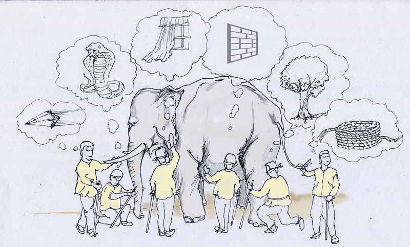 elephant