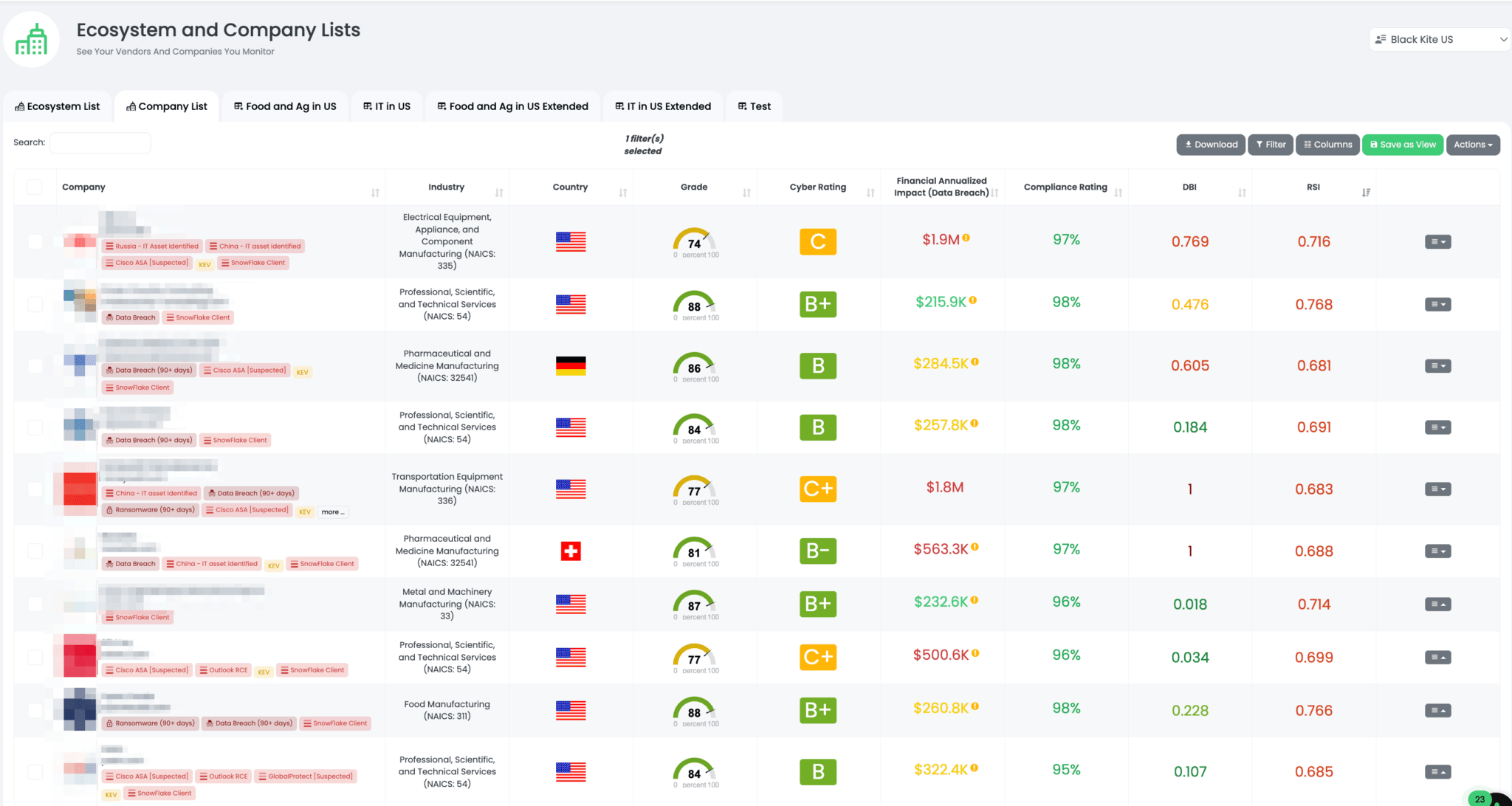 Company List View on Black Kite Platform filtered by Snowflake Client Tag