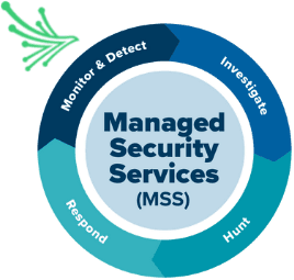managed security services