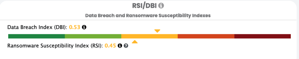 rsi-dbi-1024x202.png