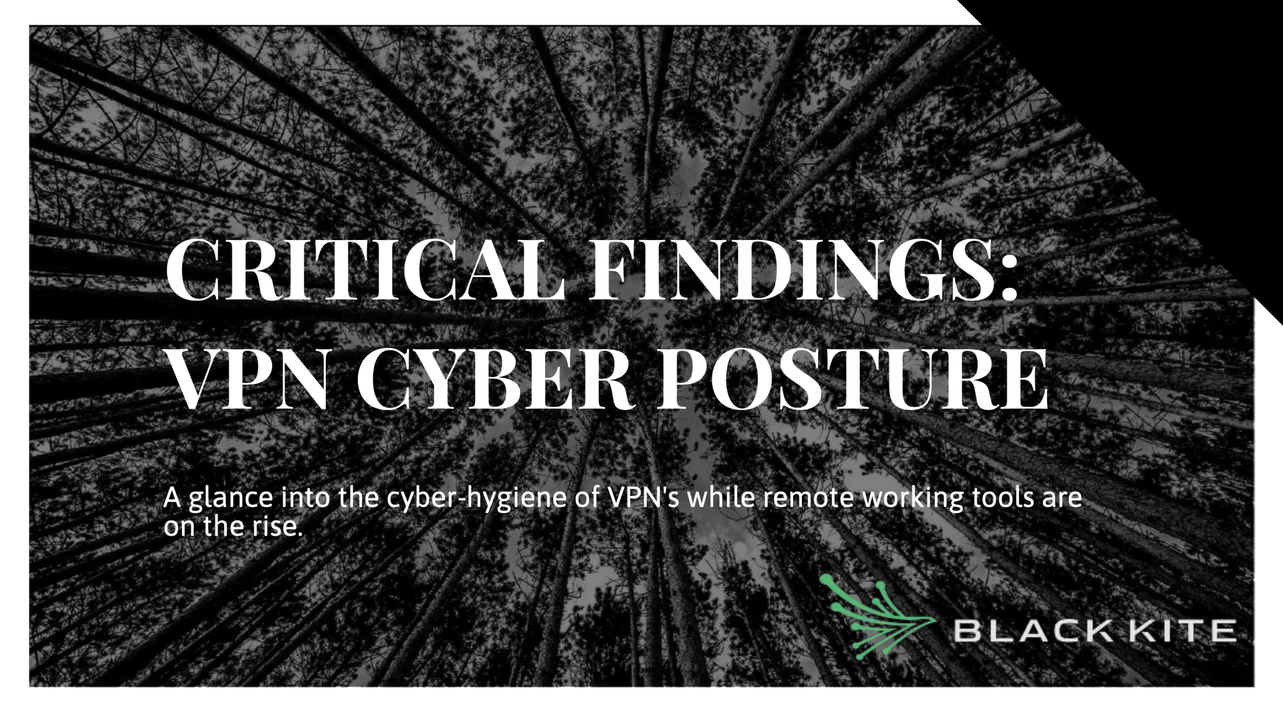 Critical findings VPN cyber posture