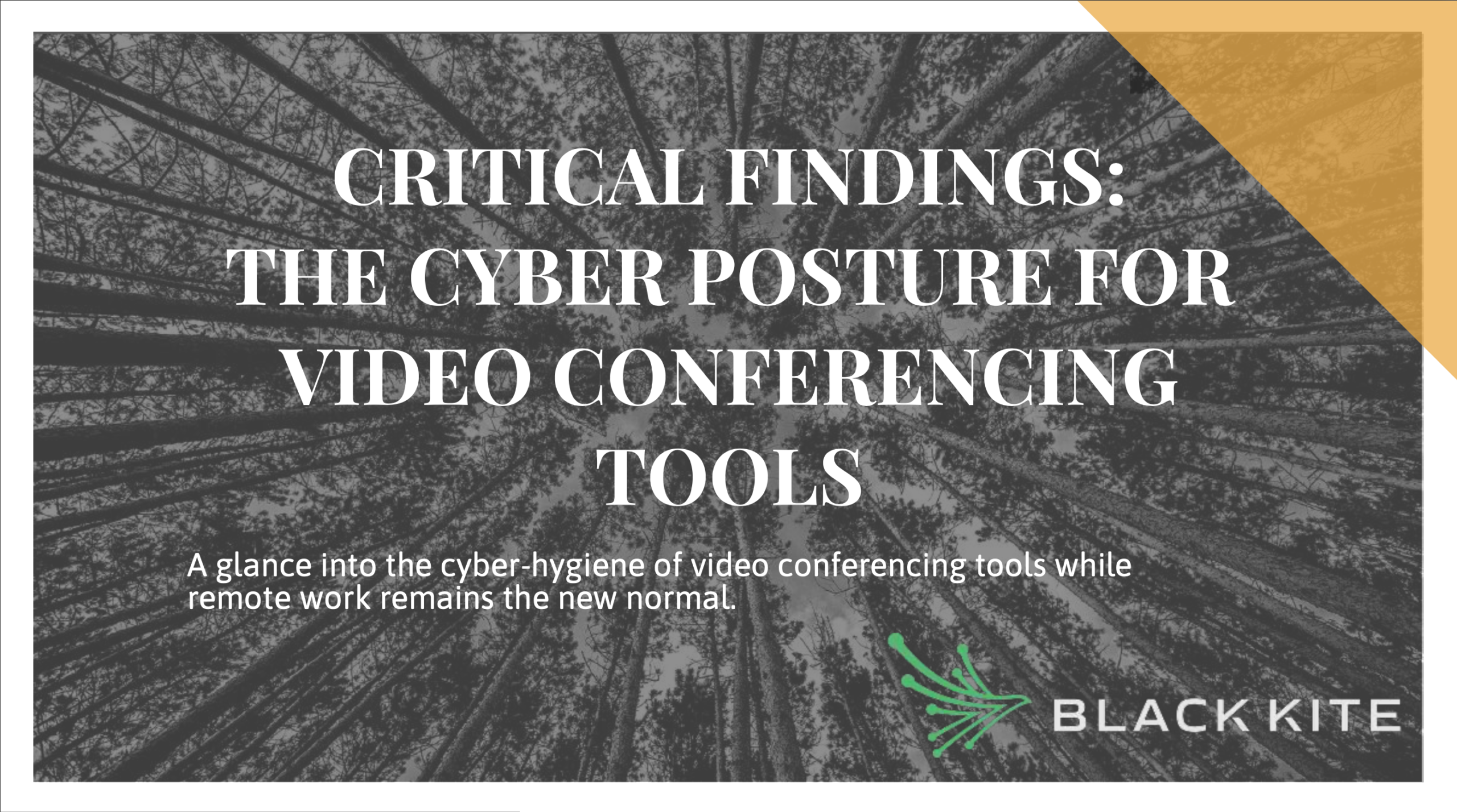 Critical findings the cyber posture for online meeting tools