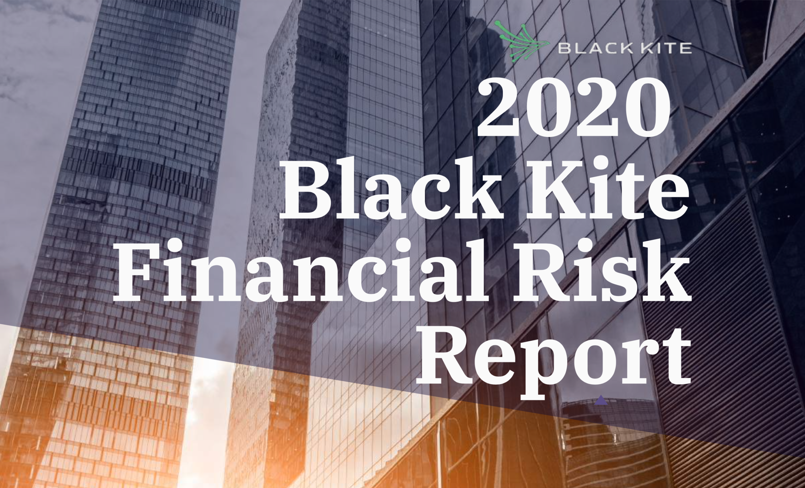 2020 Black Kite Financial Risk Report