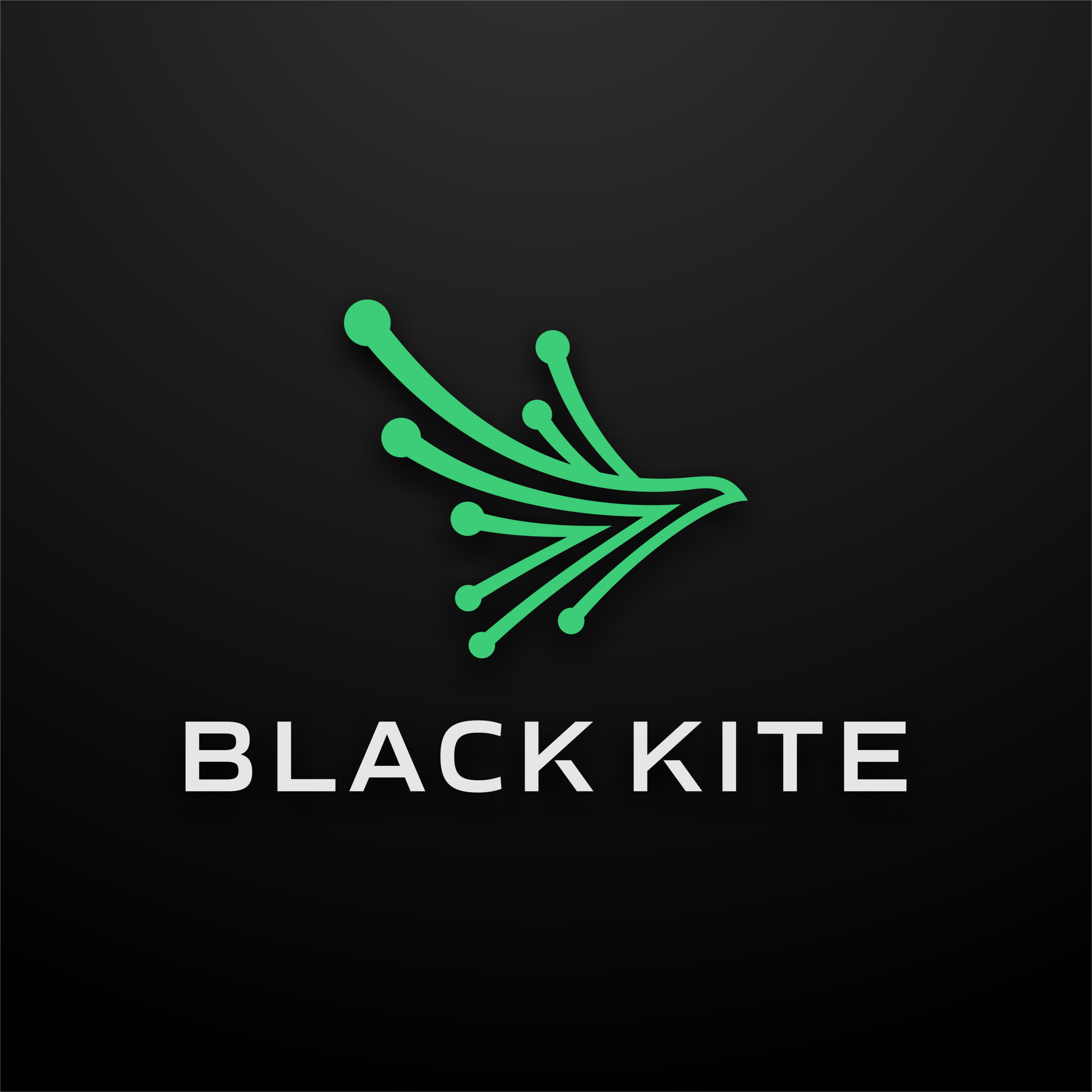 Black Kite logo profile picture