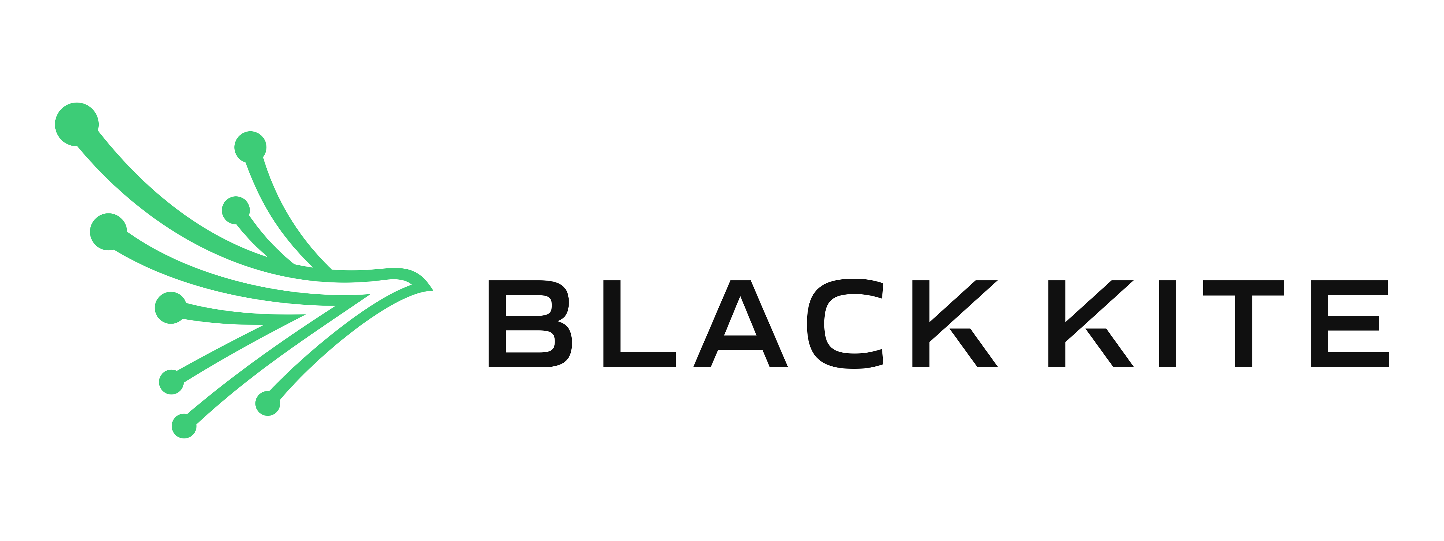 Press Kit - Black Kite