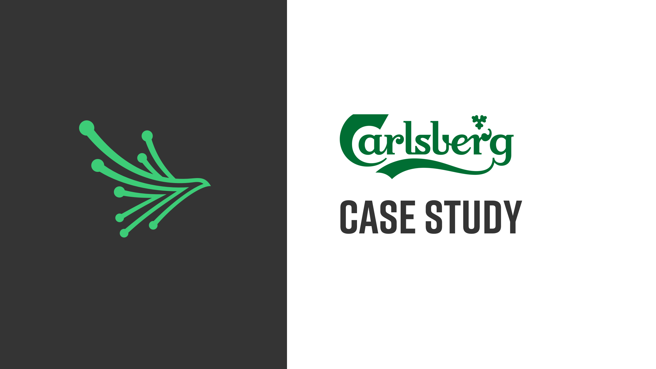 blackkite case study carlsberg