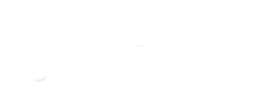logo arctic wolf