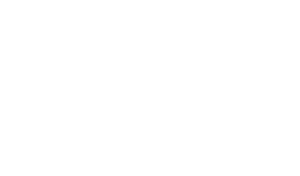 logo navy federal